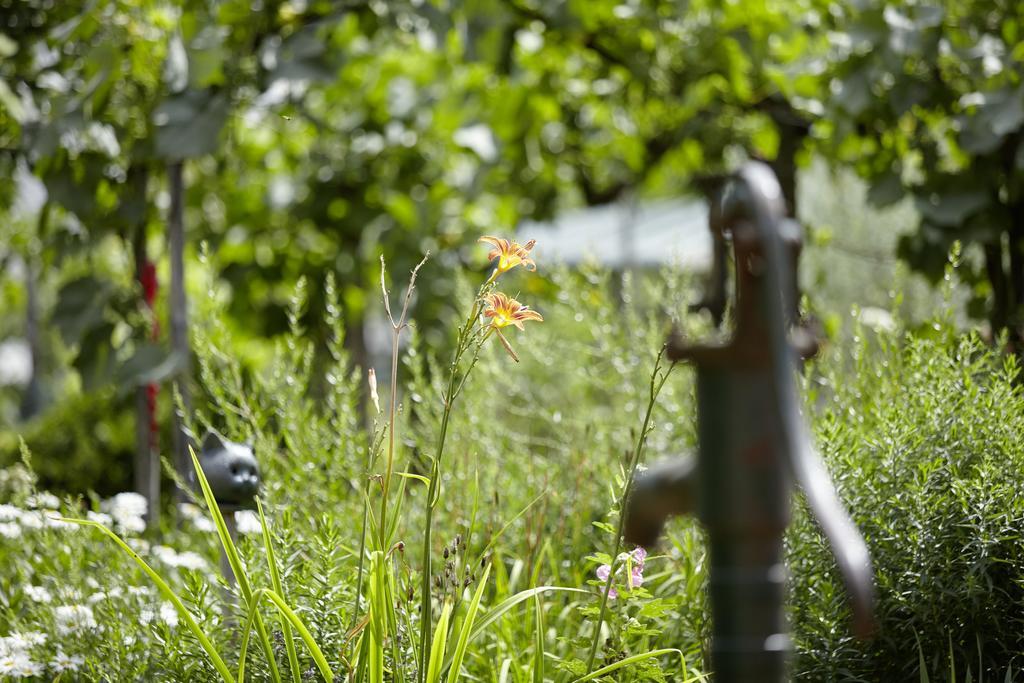 An Der Oelmuehle Kenn エクステリア 写真